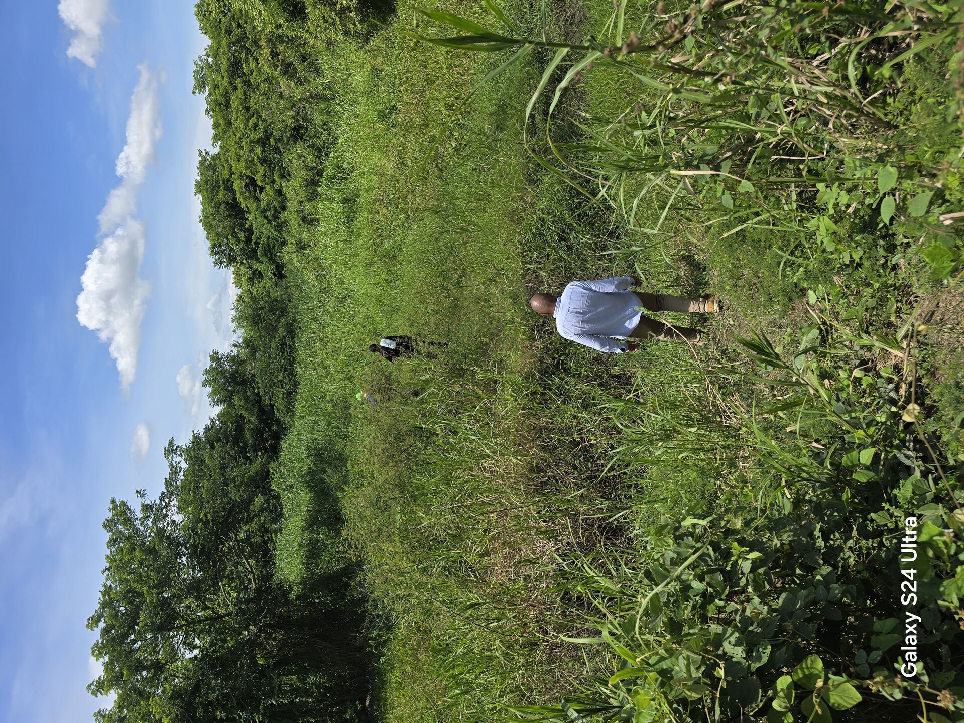 Trabajo de campo