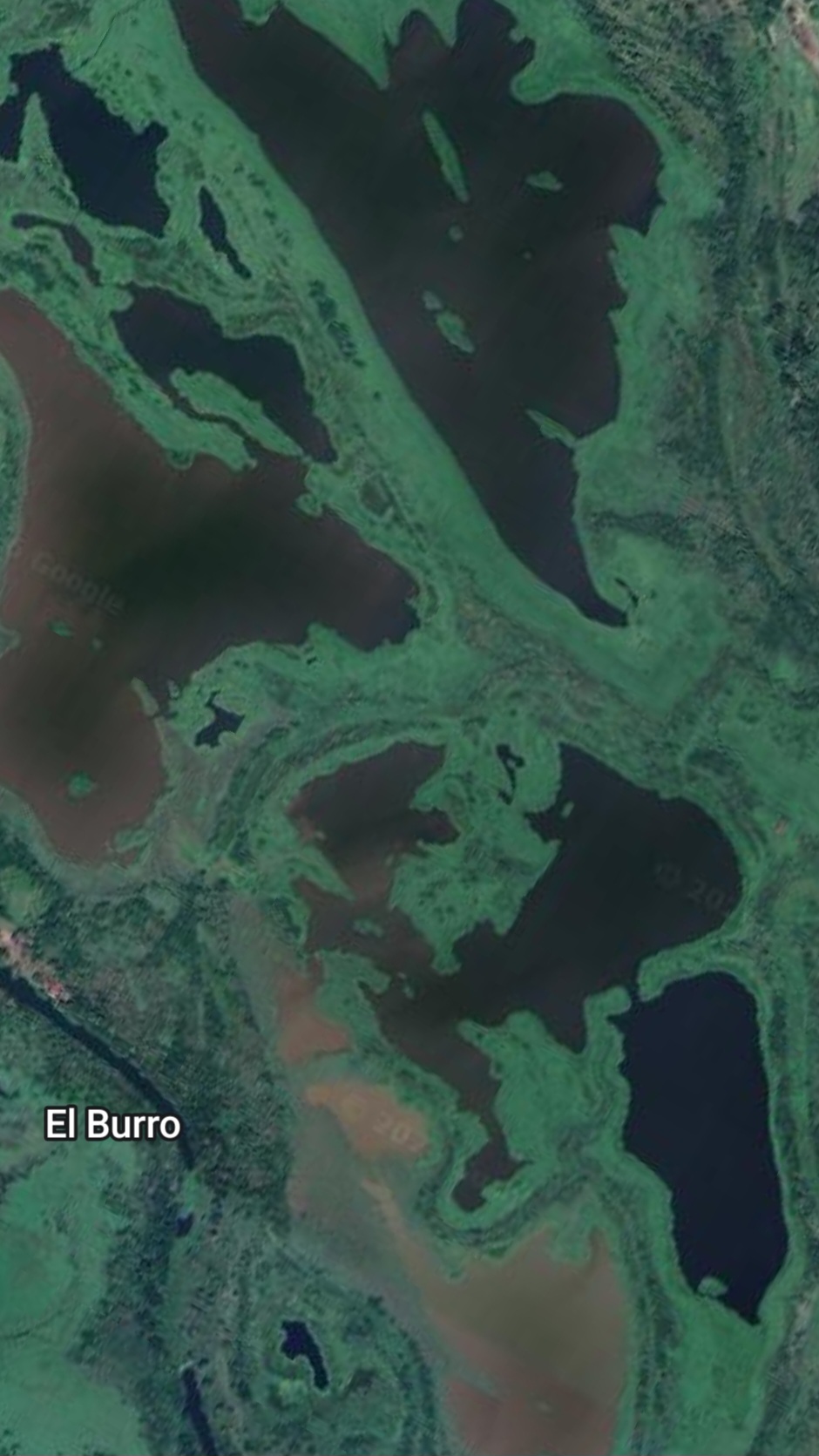 La Ceiba